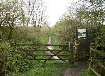 Monks Wood National Nature Reserve