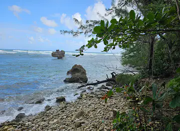 Track Barbados