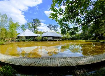 louisiana/baton-rouge/attraction/hilltop-arboretum