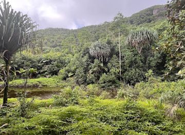 seychelles/victoria/attraction/mare-aux-cochons