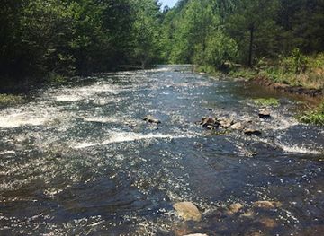alabama/sipsey-wilderness/attraction/brushy-creek-trailhead