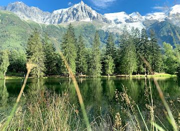 france/french-alps/attraction/adventure-park-addicted-park-gaillands