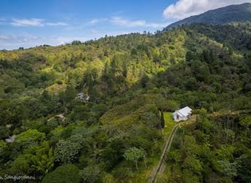 dominican-republic/cordillera-central/attraction/reserva-cientifica-ebano-verde