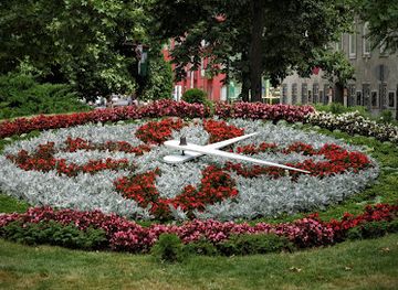 hungary/szekesfehervar/attraction/szekesfehervari-viragora