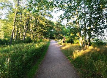 finland/turku-archipelago/attraction/post-glacial-rebound-information-board