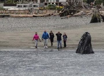 washington/bremerton/attraction/langley-whale-center