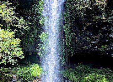 australia/mid-north-coast/attraction/crystal-shower-falls
