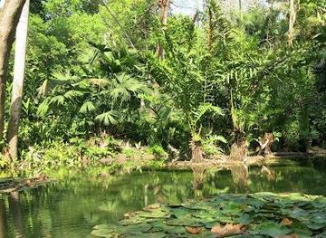 colombia/cartagena/attraction/cartagena-botanical-garden-guillermo-pineres