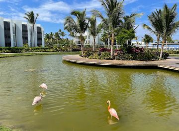 dominican-republic/punta-cana/attraction/flamingo-pond