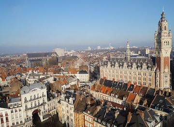 france/lille/centre-ville/attraction/notre-dame-de-la-treille-cathedral