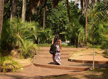 zimbabwe/bvumba-botanical-gardens/attraction/harare-gardens