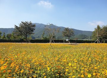 south-korea/gyeonggi-province/attraction/water-garden