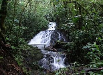 costa-rica/san-jose/attraction/reserva-privada-el-quetzal