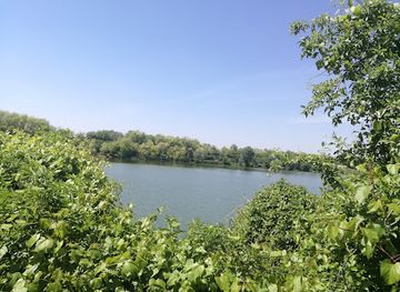 serbia/macva/attraction/borkovac