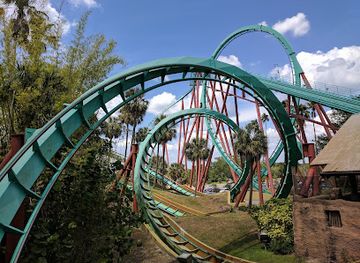 florida/tampa-bay-area/attraction/kumba