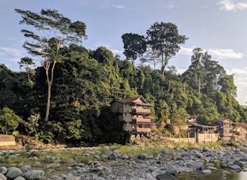 indonesia/north-sumatra/attraction/bukit-lawang-ecotourism