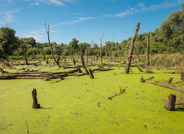 hungary/southern-great-plain/attraction/tisza-backwater-nature-trail-martely