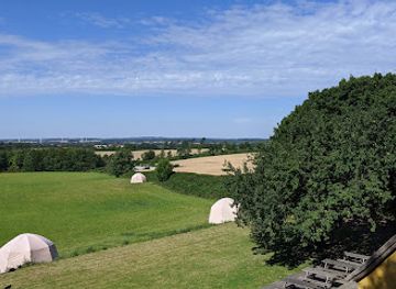 denmark/funen/attraction/gorilla-park-svendborg