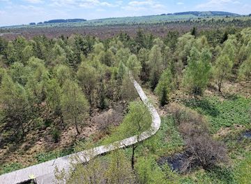 germany/franconia/attraction/black-moor