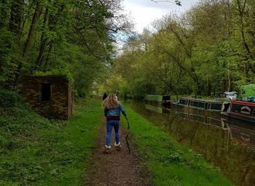 united-kingdom/staffordshire/attraction/loynton-moss