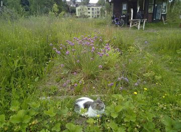estonia/tartumaa/attraction/emajoe-aed