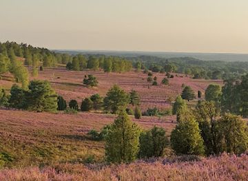 germany/lüneburg-heath/attraction/wilseder-berg