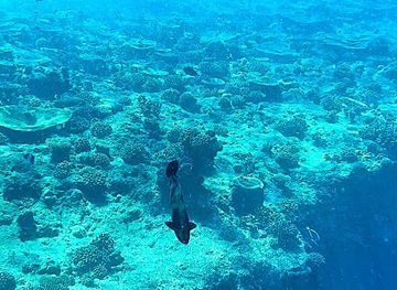 maldives/dhangethi-island/attraction/khalu-ghiri