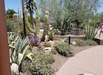 arizona/scottsdale/attraction/carefree-desert-gardens