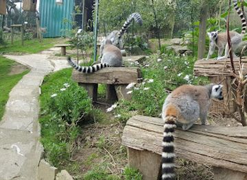 spain/oviedo/attraction/zoo-el-bosque