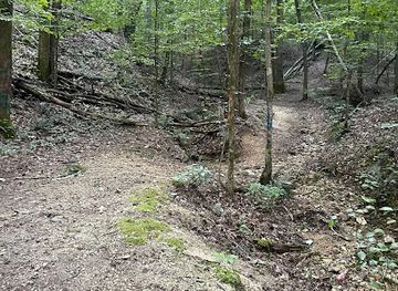 mississippi/the-black-prairie/attraction/chalk-mine-hollow