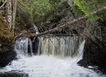michigan/upper-peninsula/attraction/manganese-falls