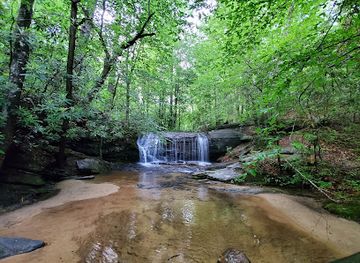 south-carolina/blue-ridge-mountains/attraction/wildcat-wayside