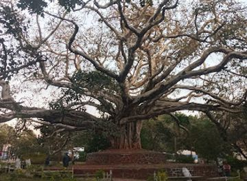 ethiopia/gondar/debre-berhan-selassie-church/attraction/jan-tekel