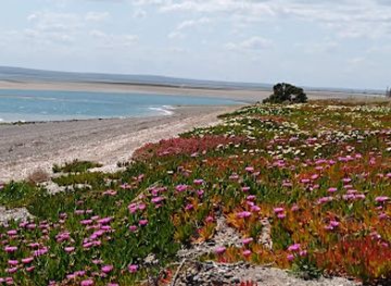 argentina/atlantic-patagonia/attraction/estacion-nautica-rupestre-experiencia-patagonica