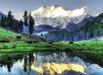 pakistan/fairy-meadows/attraction/valley-adventures-pakistan