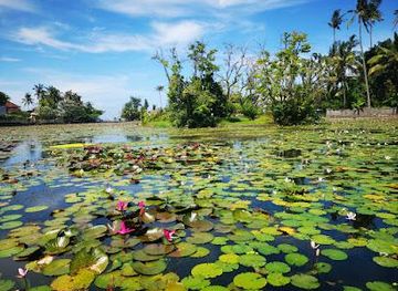indonesia/bali/attraction/candidasa-lotus-lagoon