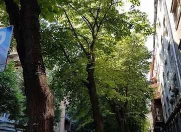 serbia/smederevo/attraction/strahinjica-bana