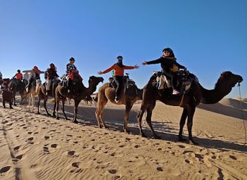 morocco/saharan-morocco/attraction/kingdom-morocco-tours