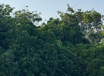 saudi-arabia/farasan-islands/attraction/jzyr-frsn-mrs-lkhr