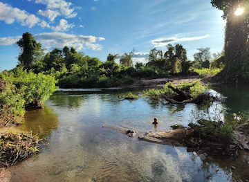 laos/champasak/attraction/nature-beach