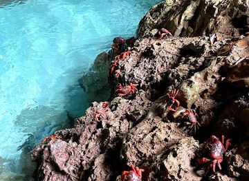 christmas-island/poon-saan/attraction/the-grotto