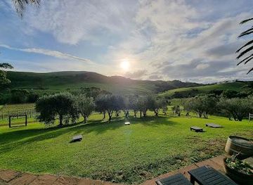 new-zealand/auckland/attraction/stonyridge-vineyard