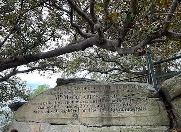 australia/sydney/attraction/mrs-macquarie-s-chair