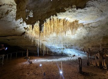 australia/south-east-south-australia/attraction/naracoorte-caves-national-park