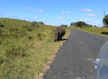 south-africa/elephant-coast/attraction/crocodile-centre-st-lucia