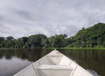 colombia/amazon/attraction/amazon-jungle-tours-colombia-into-the-wild