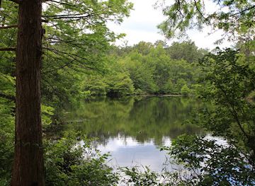 louisiana/kisatchie-national-forest/attraction/little-cypress-recreation-complex