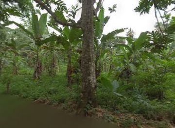 sao-tome-and-principe/praia-inhame/attraction/passadicos-de-n-guembu