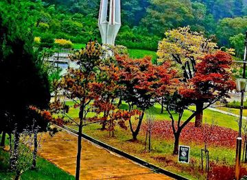 south-korea/daejeon/attraction/sajeong-gol-botanical-garden