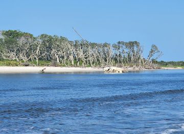 florida/amelia-island/attraction/backwater-cat-adventure